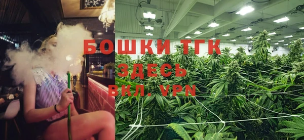 крисы Нея