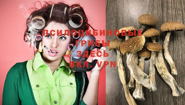 соль курить ск Алексин