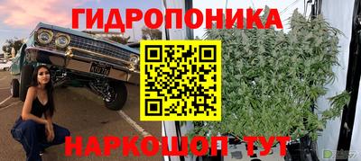 PSILOCYBIN Кумертау