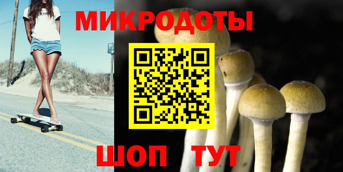 Псилоцибиновые грибы GOLDEN TEACHER Находка